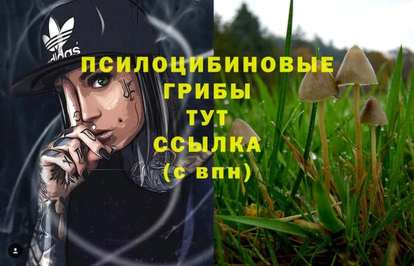 кокаин премиум Абаза