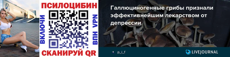 Псилоцибиновые грибы Psilocybine cubensis  наркотики  Североморск 